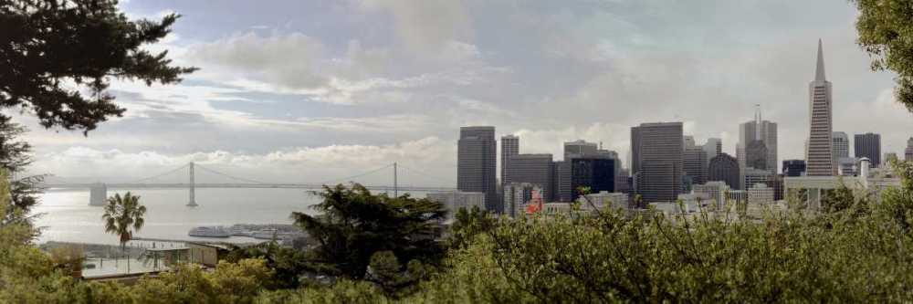 SF Skyline Pano - 109