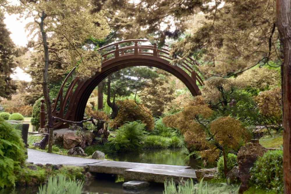 Japanese Bridge - 1