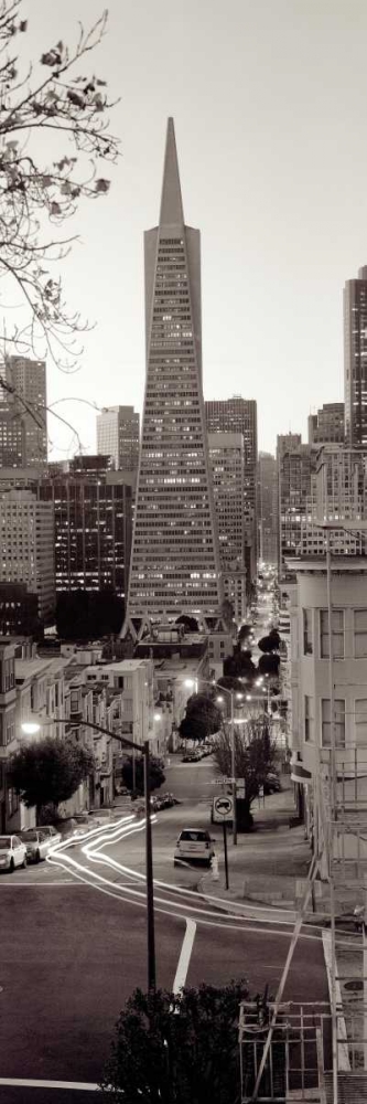 Transamerica Pano - 1
