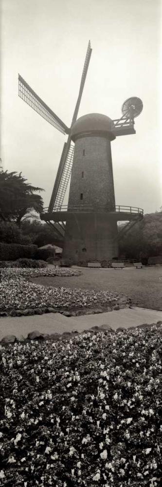 Goden Gate Park Pano - 3