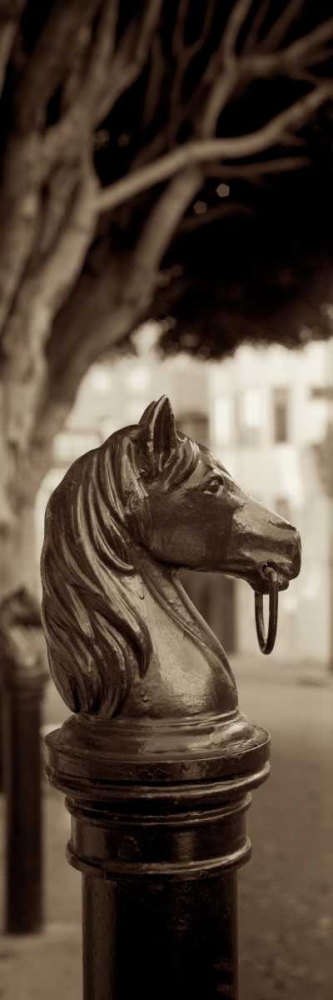 Hitching Post Pano - 2