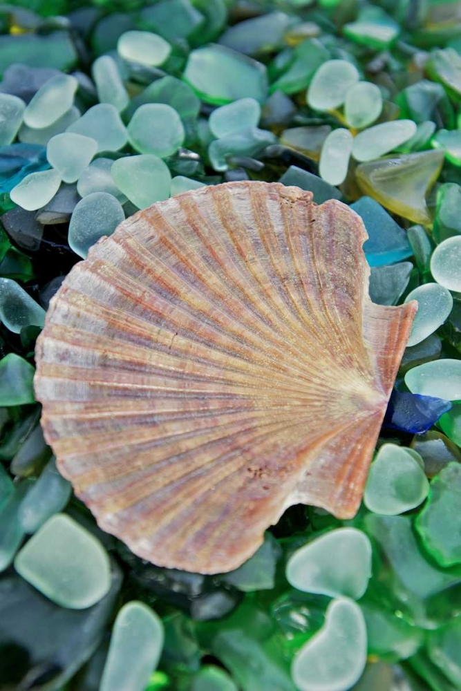 Crystal Cove - 25