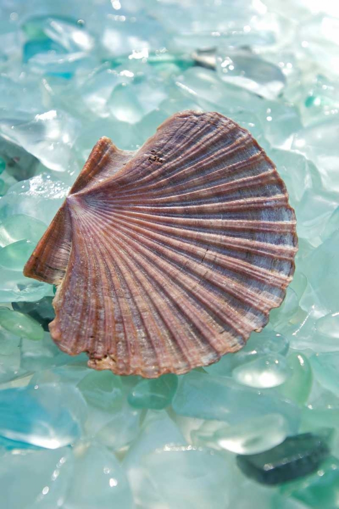 Crystal Harbor - 8
