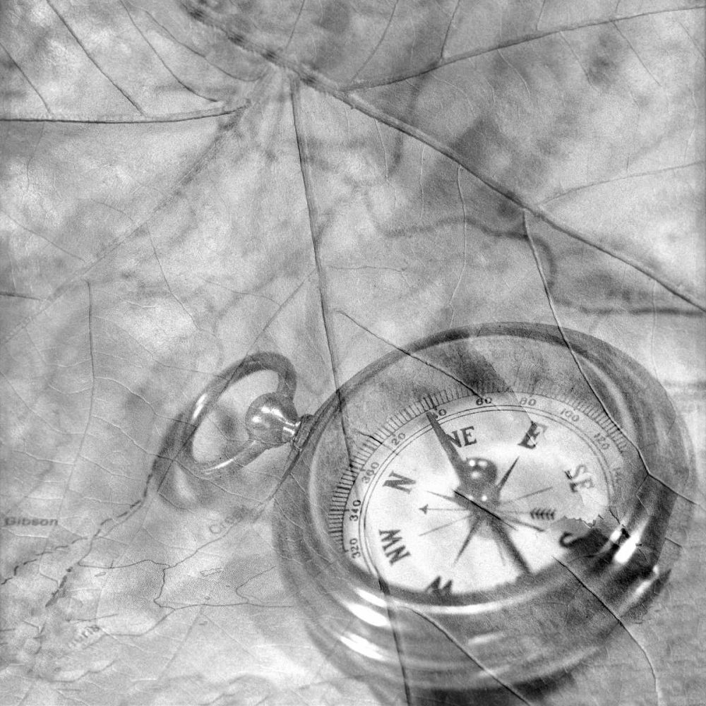 Retro- Compass