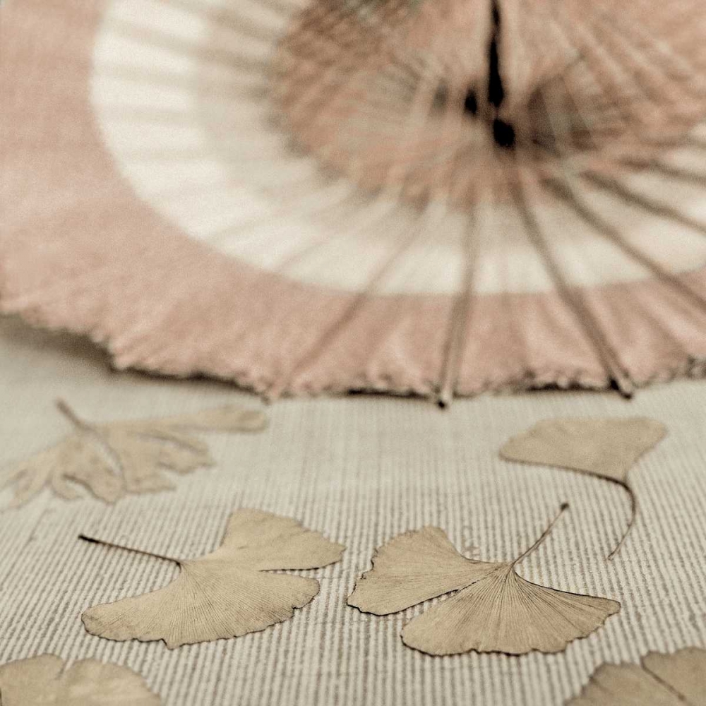 Parasol and Gingko - 2