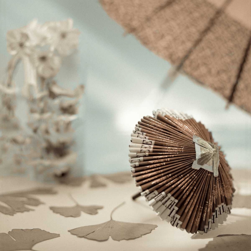 Parasol and Gingko - 1
