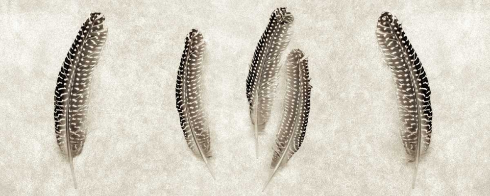 Feather Panel - 3