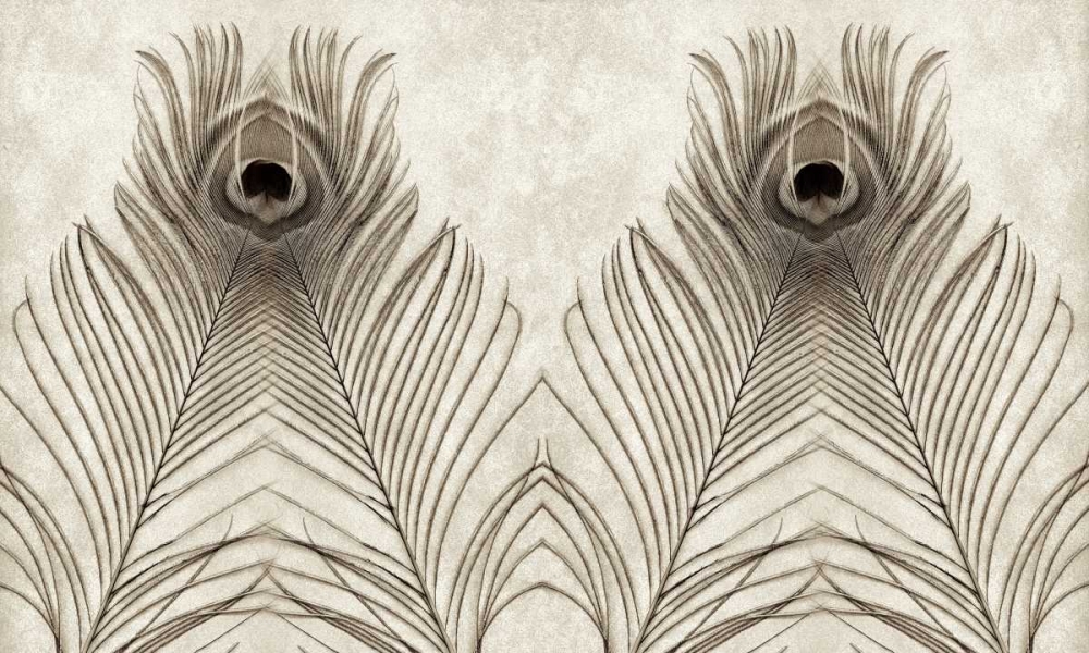 Feathers Panel - 5