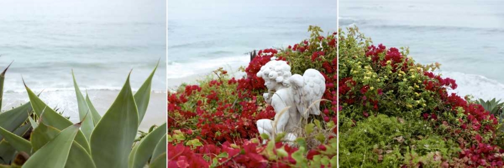Laguna Coast - 3