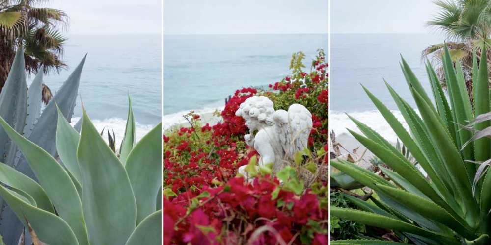 Laguna Coast - 1