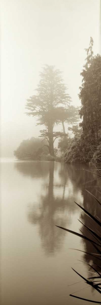 Lakeside Tree - 2