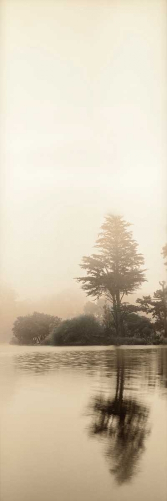 Lakeside Tree - 1