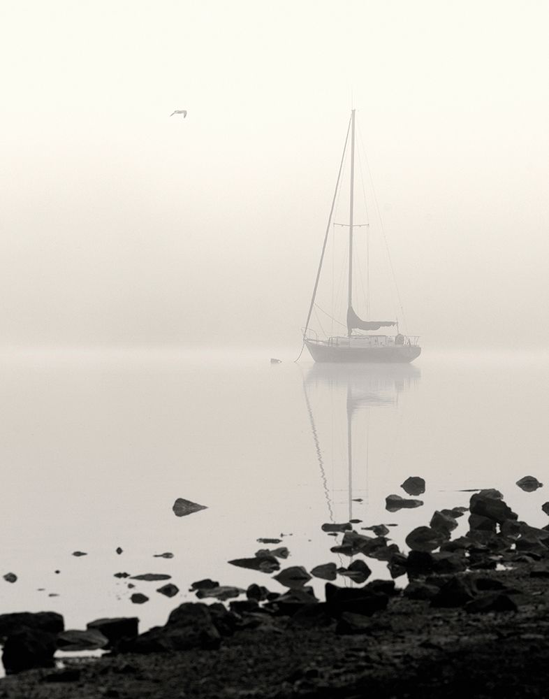 Moored in Fog