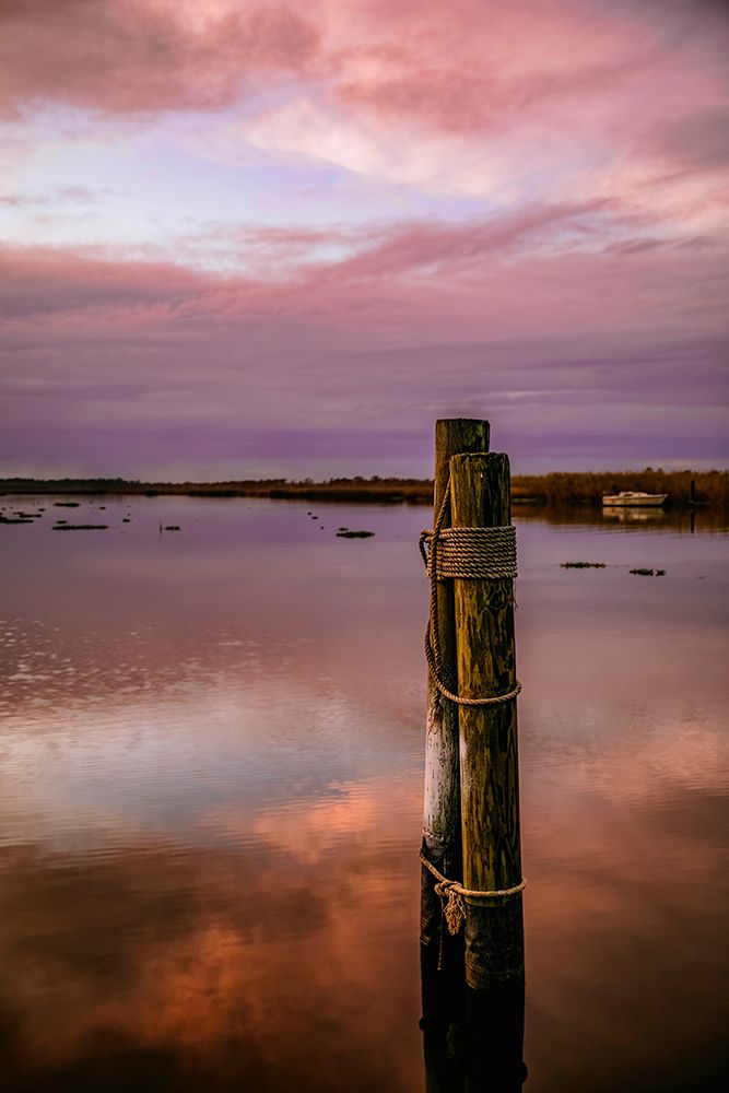 Pink Morning Mooring
