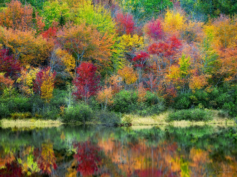 Autumn Color and Pond