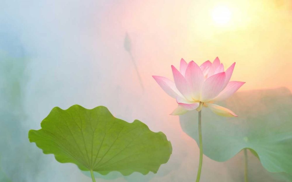 Serenity