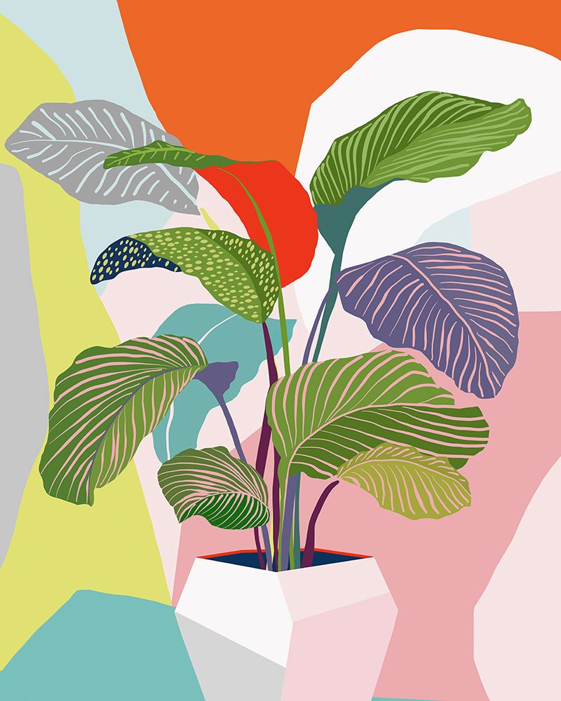 Exotic Plant