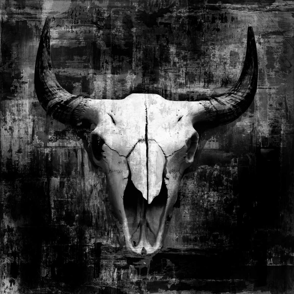 Black Cowskull