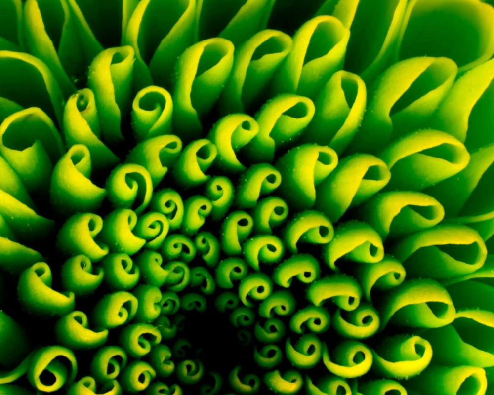 Green Design