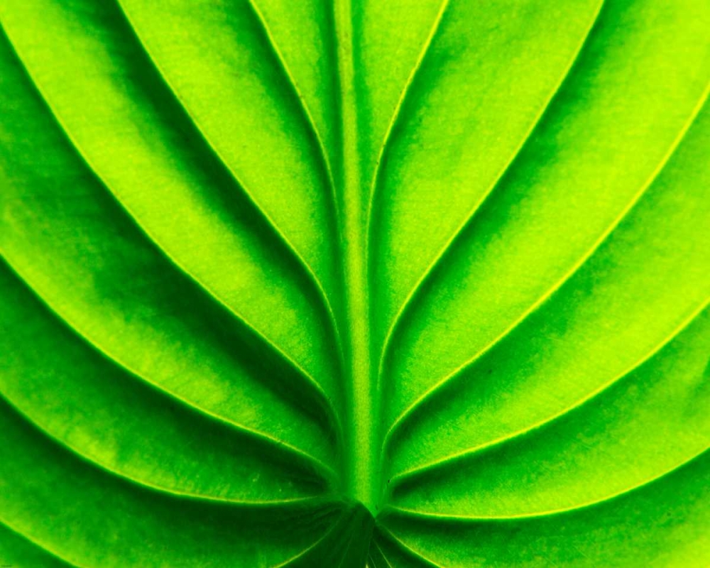 Green Design