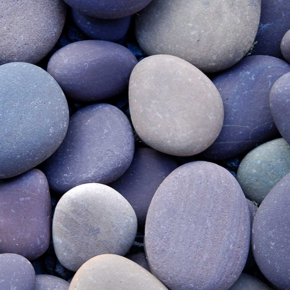 Purple Pebbles