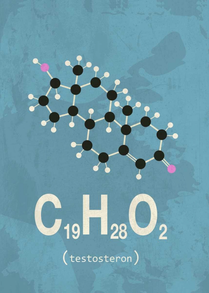 Molecule Testosterone