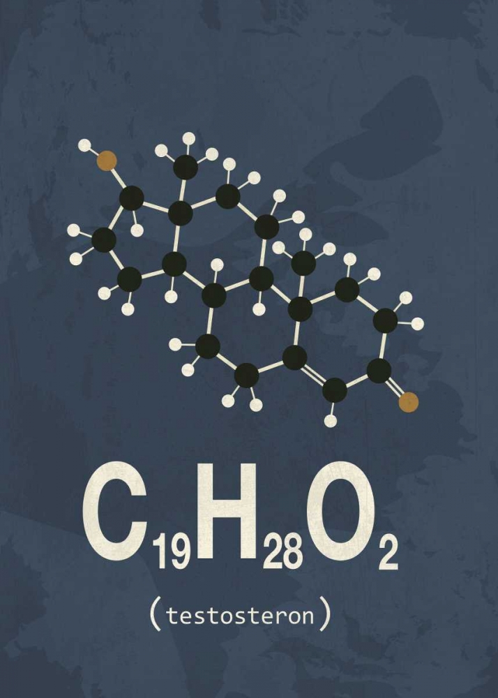 Molecule Testosterone