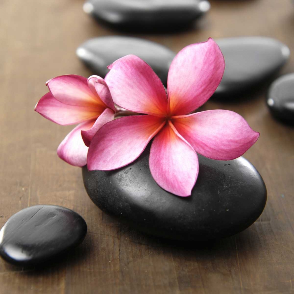 Zen Pebbles