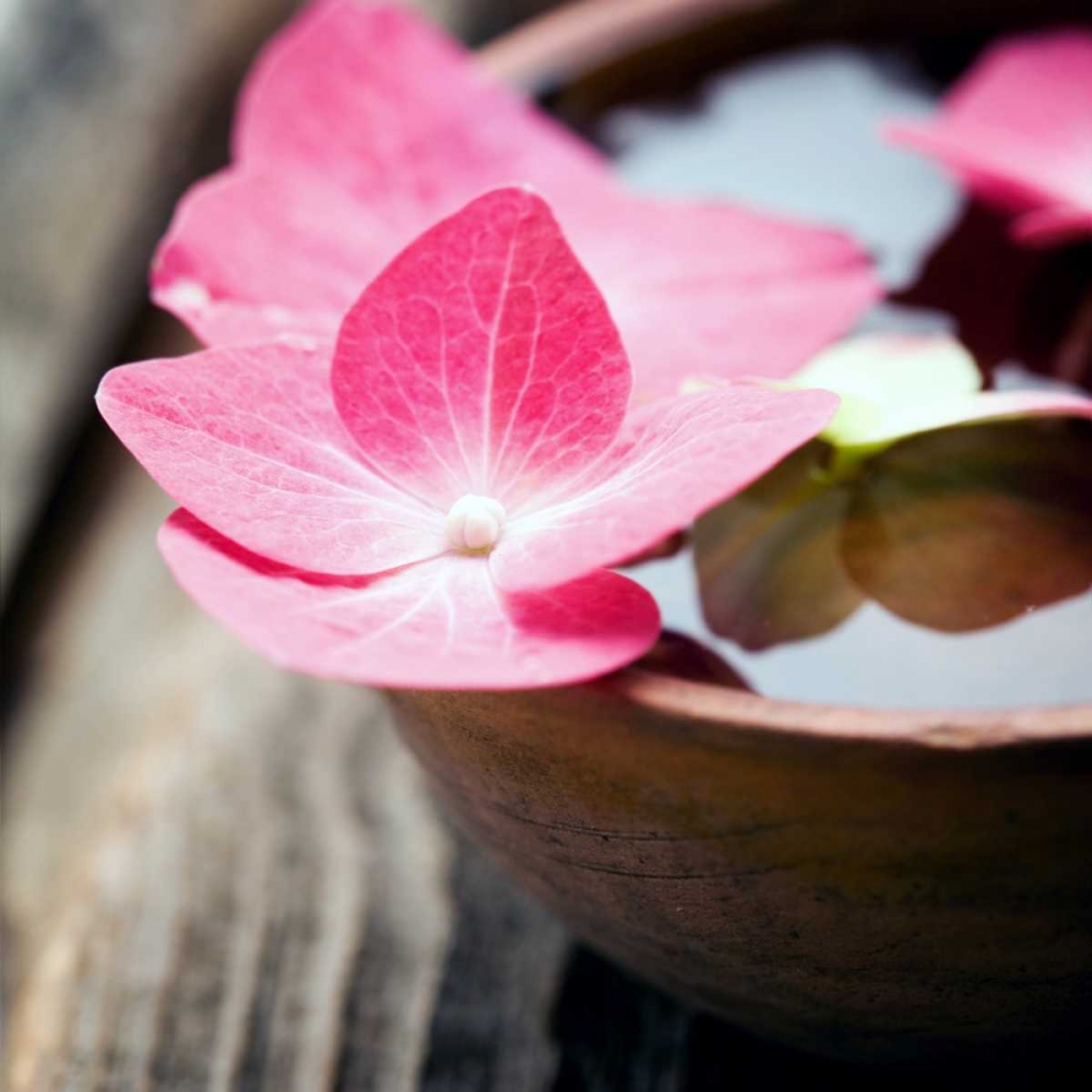 Zen Bowl