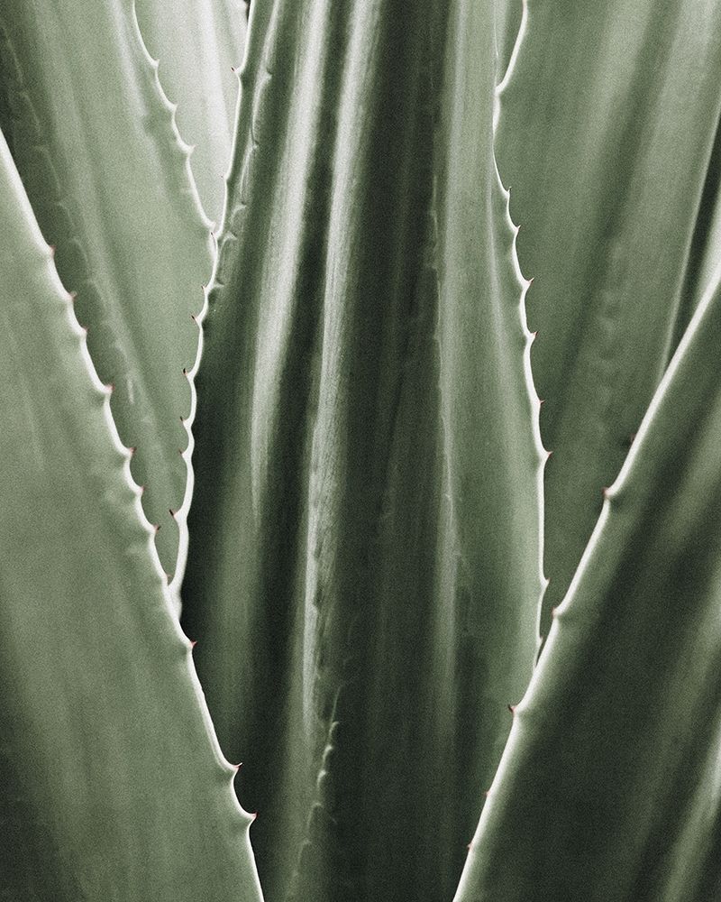 Leaf I