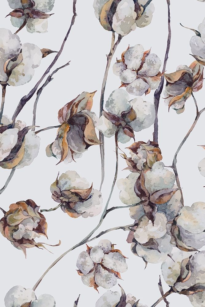 Cotton I