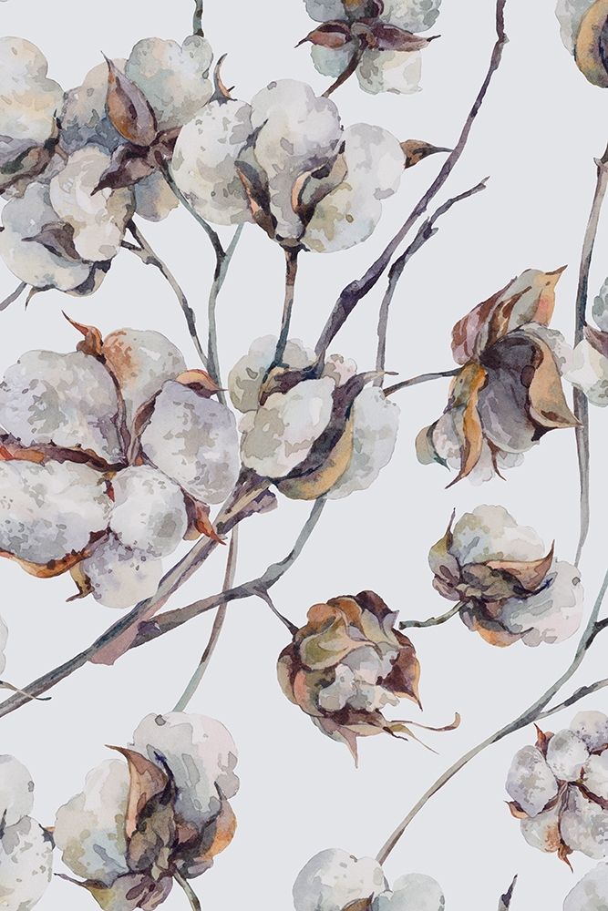 Cotton II