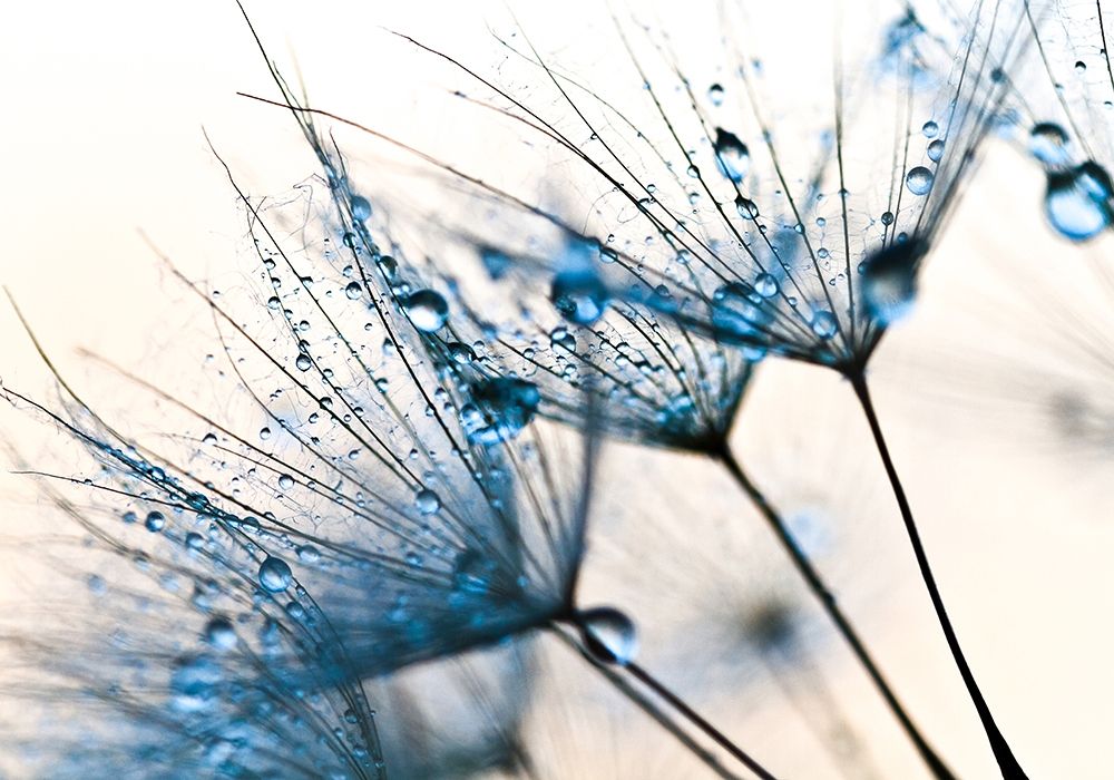 Mystic Blue