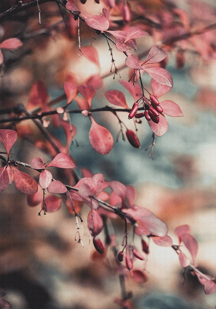 Fall I