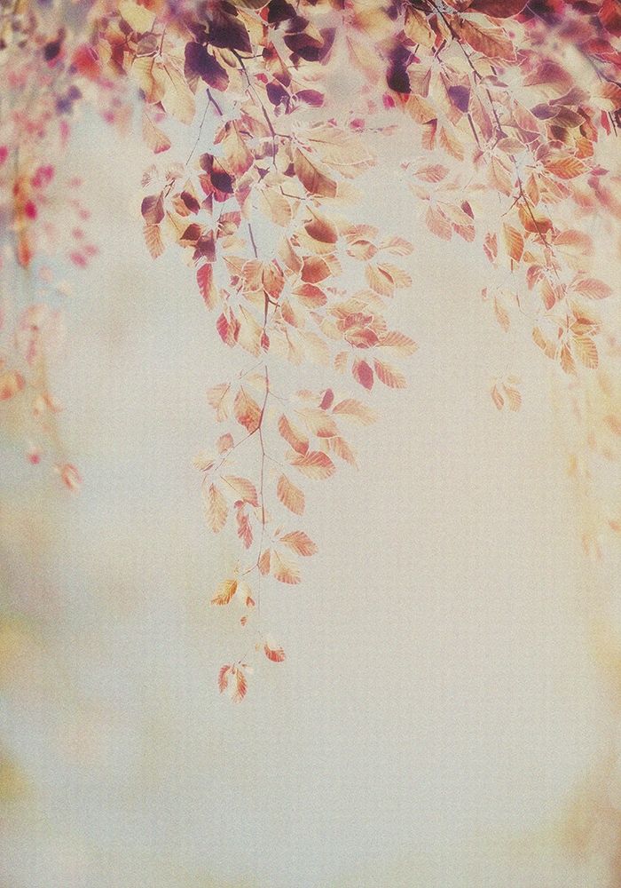 Fall II