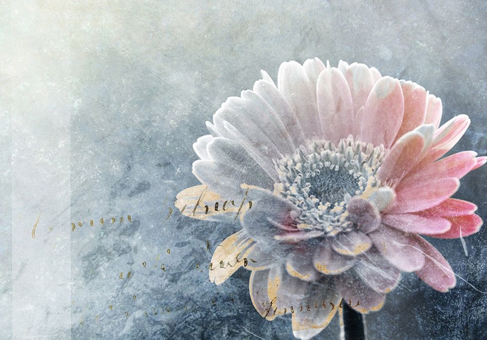 Winter Flower