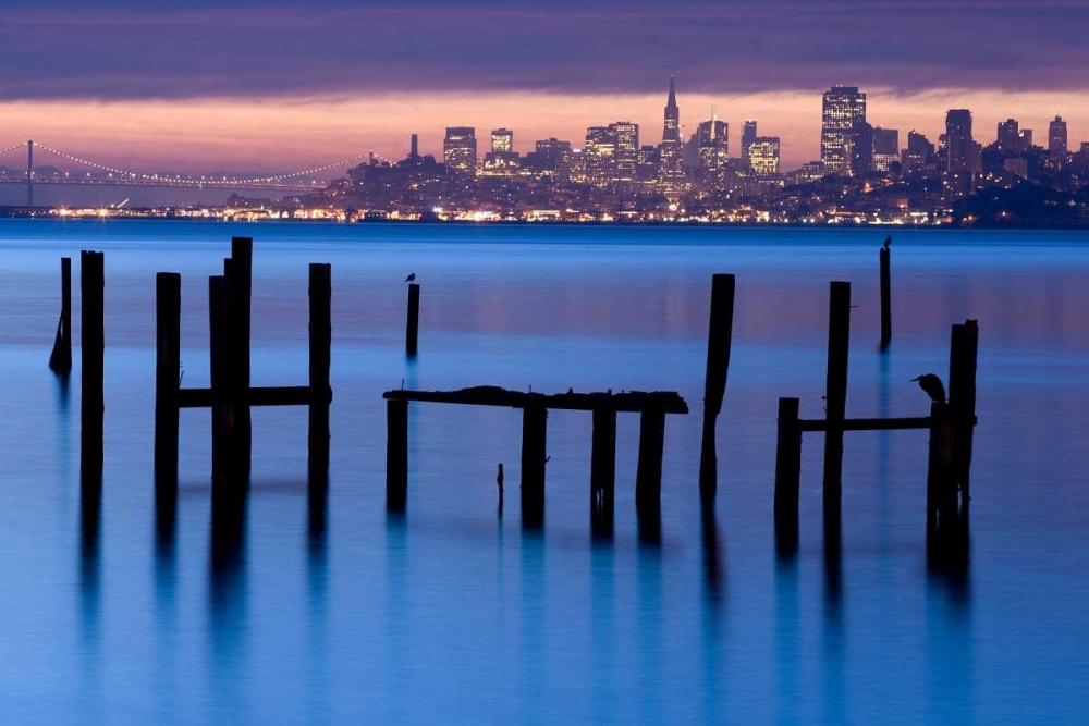 Bay Pilings  Sausalito