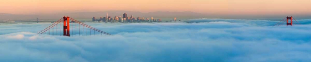 Foggy City