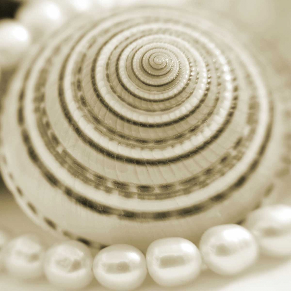 Shells and Pearls 1