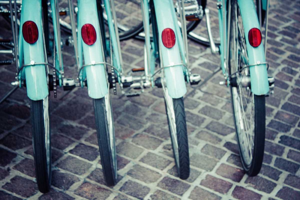 Bicycle Line Up 1