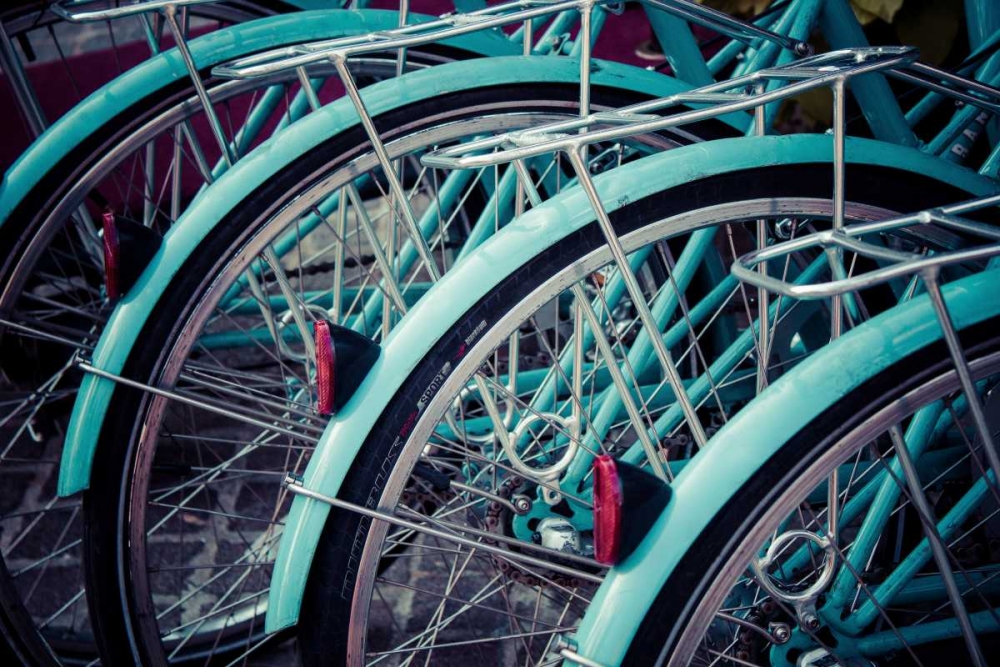 Bicycle Line Up 2