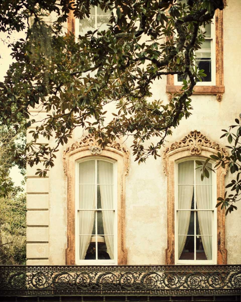 Savannah Charm I
