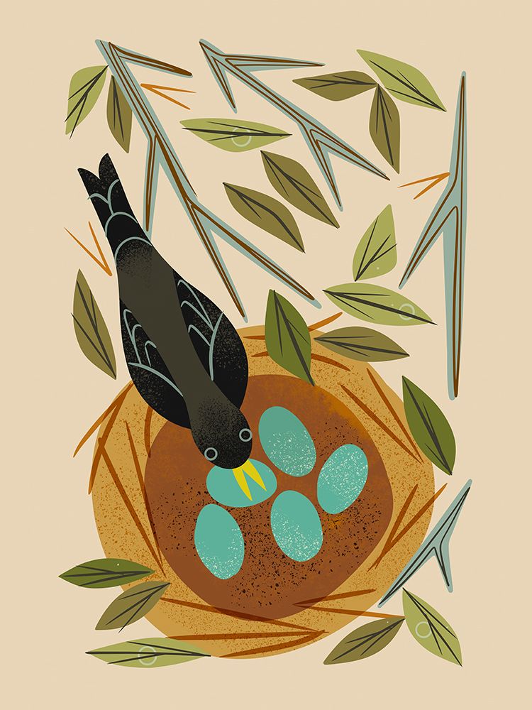 Robin and Nest