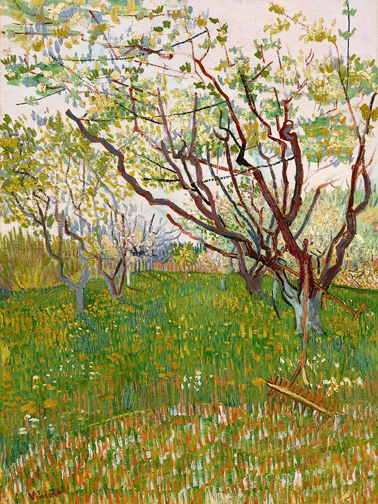 Van Gogh, VincentThe Flowering Orchard