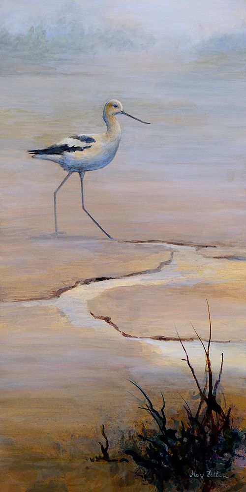 Avocet at Low Tide