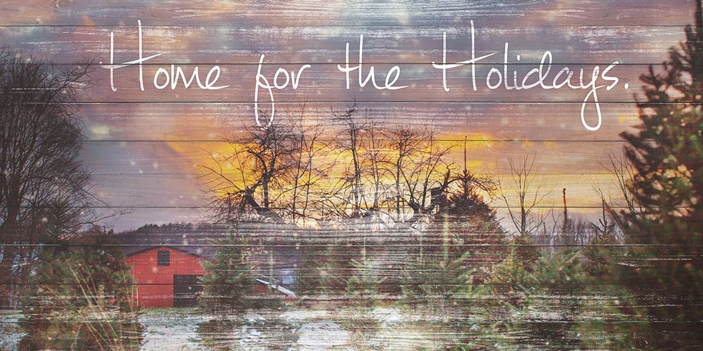 Home for the Holidays