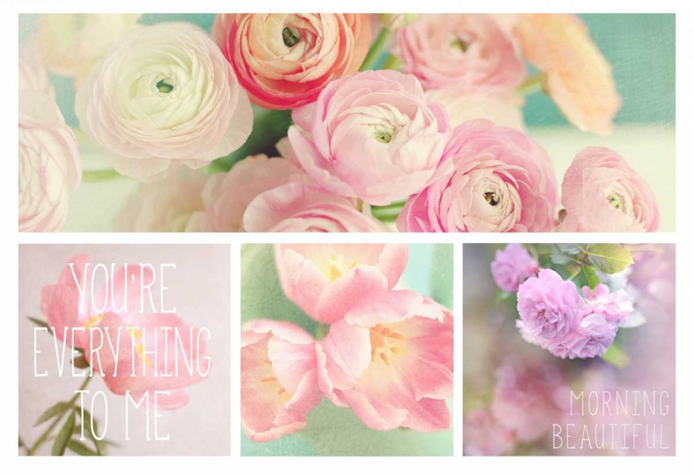 Blossoms 4 Pack