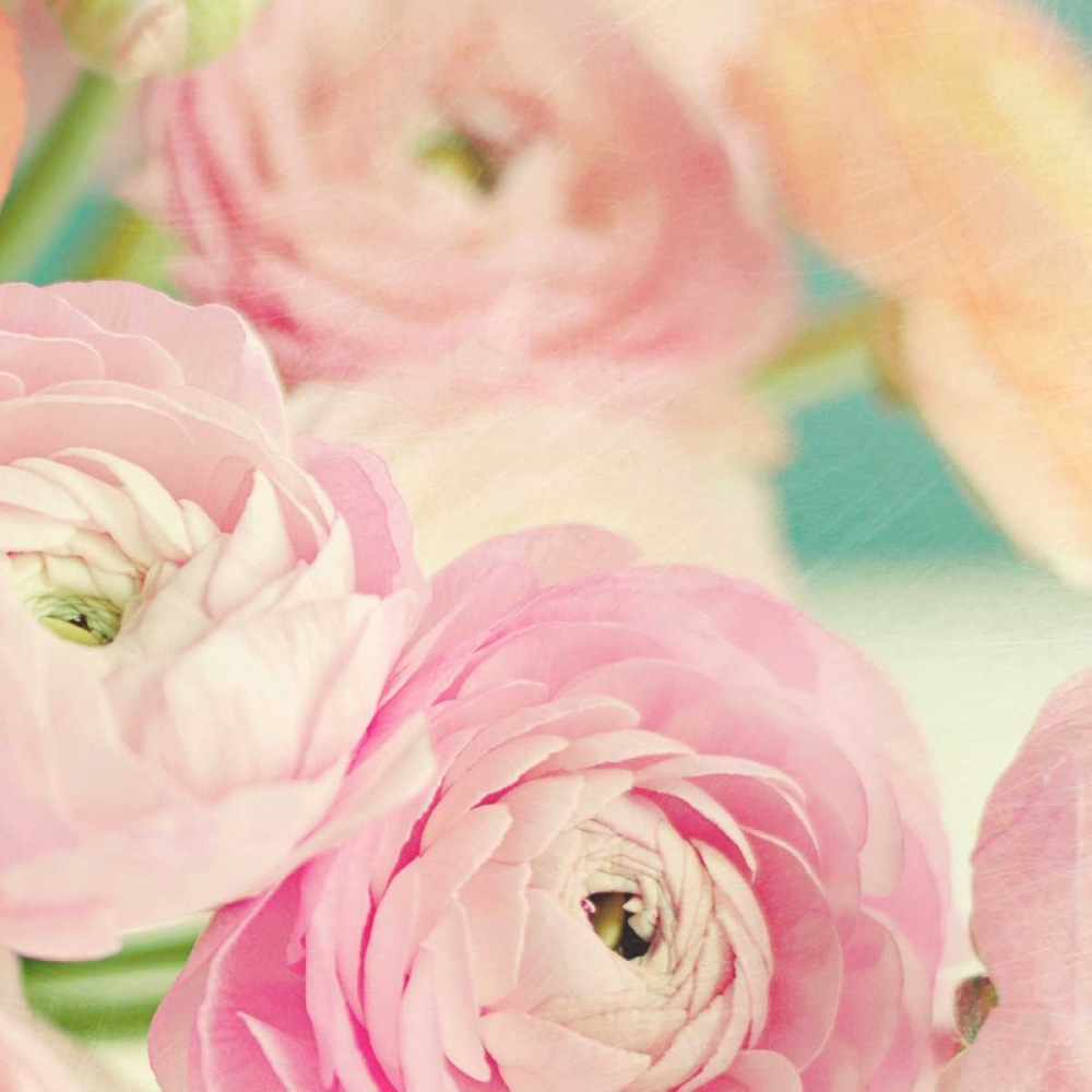 Blushing Blossoms Square I