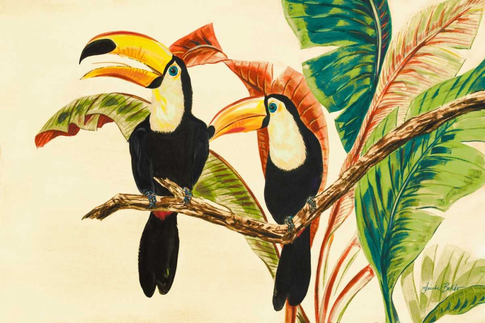 Tropical Toucans I