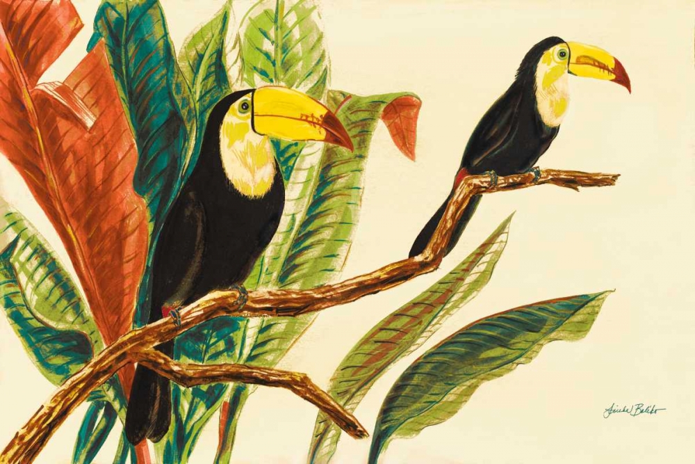 Tropical Toucans II
